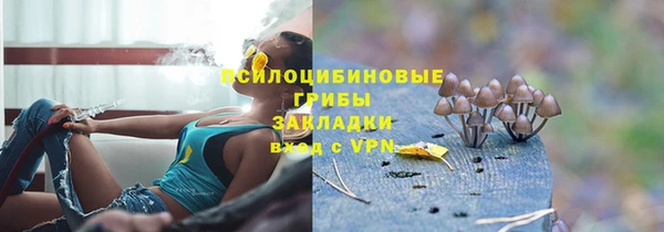 а пвп мука Богородск