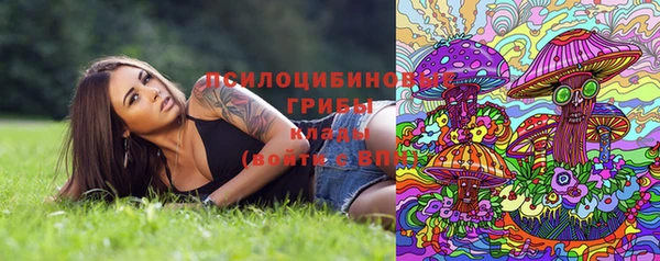 а пвп мука Богданович
