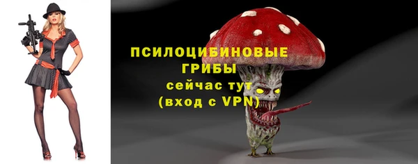таблы Богородицк