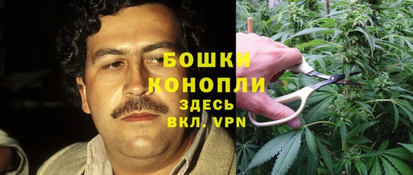 таблы Богородицк
