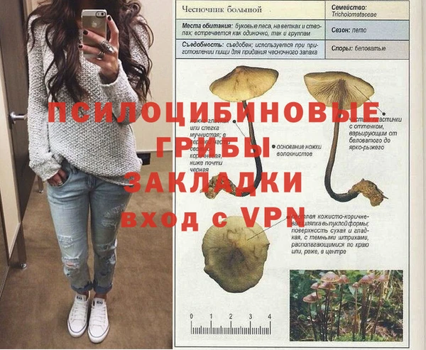 а пвп мука Богданович